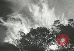 Image of forest fire Topanga California USA, 1936, second 31 stock footage video 65675059251