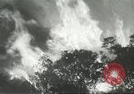 Image of forest fire Topanga California USA, 1936, second 33 stock footage video 65675059251