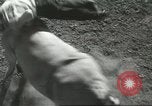 Immagine di Pendleton Round Up rodeo Pendleton Oregon USA, 1936, secondo 43 filmato di repertorio 65675059256