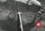 Immagine di Pendleton Round Up rodeo Pendleton Oregon USA, 1936, secondo 45 filmato di repertorio 65675059256
