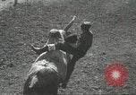 Immagine di Pendleton Round Up rodeo Pendleton Oregon USA, 1936, secondo 47 filmato di repertorio 65675059256