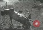Immagine di Pendleton Round Up rodeo Pendleton Oregon USA, 1936, secondo 50 filmato di repertorio 65675059256