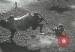 Immagine di Pendleton Round Up rodeo Pendleton Oregon USA, 1936, secondo 51 filmato di repertorio 65675059256