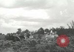 Image of National Tobacco Festival South Boston Virginia USA, 1936, second 10 stock footage video 65675059257
