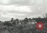 Image of National Tobacco Festival South Boston Virginia USA, 1936, second 12 stock footage video 65675059257