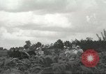 Image of National Tobacco Festival South Boston Virginia USA, 1936, second 13 stock footage video 65675059257