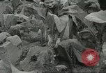 Image of National Tobacco Festival South Boston Virginia USA, 1936, second 14 stock footage video 65675059257
