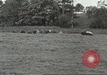 Immagine di Trans Atlantic flight Llandilo Galles, 1936, secondo 26 filmato di repertorio 65675059259