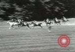 Immagine di Brook Meadow Cup Chase Westbury New York USA, 1932, secondo 32 filmato di repertorio 65675059260
