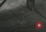 Standbild Snake Elgin Illinois USA, 1932, aus Sekunde 13 historischem Filmmaterial Videoclip 65675059264