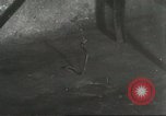 Standbild Snake Elgin Illinois USA, 1932, aus Sekunde 14 historischem Filmmaterial Videoclip 65675059264