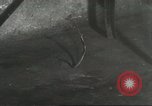 Standbild Snake Elgin Illinois USA, 1932, aus Sekunde 15 historischem Filmmaterial Videoclip 65675059264