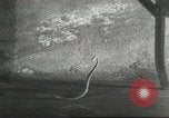 Standbild Snake Elgin Illinois USA, 1932, aus Sekunde 17 historischem Filmmaterial Videoclip 65675059264