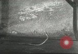 Standbild Snake Elgin Illinois USA, 1932, aus Sekunde 19 historischem Filmmaterial Videoclip 65675059264