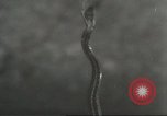Standbild Snake Elgin Illinois USA, 1932, aus Sekunde 20 historischem Filmmaterial Videoclip 65675059264