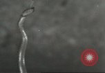 Standbild Snake Elgin Illinois USA, 1932, aus Sekunde 21 historischem Filmmaterial Videoclip 65675059264