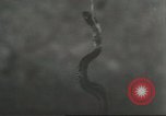 Standbild Snake Elgin Illinois USA, 1932, aus Sekunde 23 historischem Filmmaterial Videoclip 65675059264