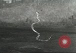 Standbild Snake Elgin Illinois USA, 1932, aus Sekunde 27 historischem Filmmaterial Videoclip 65675059264