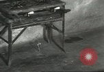 Standbild Snake Elgin Illinois USA, 1932, aus Sekunde 29 historischem Filmmaterial Videoclip 65675059264