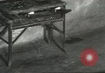 Standbild Snake Elgin Illinois USA, 1932, aus Sekunde 30 historischem Filmmaterial Videoclip 65675059264