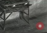 Standbild Snake Elgin Illinois USA, 1932, aus Sekunde 31 historischem Filmmaterial Videoclip 65675059264