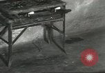 Standbild Snake Elgin Illinois USA, 1932, aus Sekunde 32 historischem Filmmaterial Videoclip 65675059264