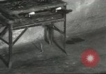Standbild Snake Elgin Illinois USA, 1932, aus Sekunde 33 historischem Filmmaterial Videoclip 65675059264