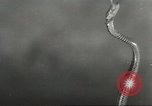 Standbild Snake Elgin Illinois USA, 1932, aus Sekunde 35 historischem Filmmaterial Videoclip 65675059264