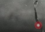 Standbild Snake Elgin Illinois USA, 1932, aus Sekunde 36 historischem Filmmaterial Videoclip 65675059264