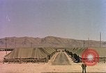 Image Shot chien au Camp Desert Rock pendant des exercices de roche du désert Las Vegas Nevada USA, 1952, de la seconde 14 séquences d'archives historiques vidéo 65675059270