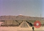 Image Shot chien au Camp Desert Rock pendant des exercices de roche du désert Las Vegas Nevada USA, 1952, de la seconde 46 séquences d'archives historiques vidéo 65675059270