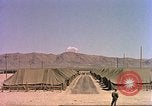 Image Shot chien au Camp Desert Rock pendant des exercices de roche du désert Las Vegas Nevada USA, 1952, de la seconde 52 séquences d'archives historiques vidéo 65675059270