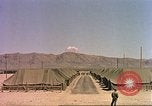 Image Shot chien au Camp Desert Rock pendant des exercices de roche du désert Las Vegas Nevada USA, 1952, de la seconde 53 séquences d'archives historiques vidéo 65675059270