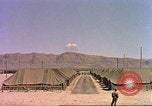 Image Shot chien au Camp Desert Rock pendant des exercices de roche du désert Las Vegas Nevada USA, 1952, de la seconde 61 séquences d'archives historiques vidéo 65675059270