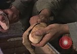 Image of Operation Desert Rock Las Vegas Nevada USA, 1952, second 36 stock footage video 65675059271