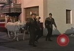 Image of Las Vegas club exteriors daytime 1950s Las Vegas Nevada USA, 1952, second 23 stock footage video 65675059272