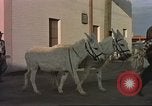 Image of Las Vegas club exteriors daytime 1950s Las Vegas Nevada USA, 1952, second 27 stock footage video 65675059272