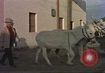 Image of Las Vegas club exteriors daytime 1950s Las Vegas Nevada USA, 1952, second 28 stock footage video 65675059272