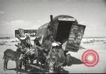 Image of mule pulled wagon Las Vegas Nevada USA, 1952, second 3 stock footage video 65675059276