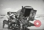 Image of mule pulled wagon Las Vegas Nevada USA, 1952, second 5 stock footage video 65675059276