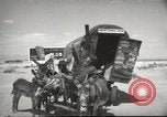 Image of mule pulled wagon Las Vegas Nevada USA, 1952, second 6 stock footage video 65675059276