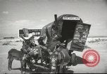 Image of mule pulled wagon Las Vegas Nevada USA, 1952, second 7 stock footage video 65675059276