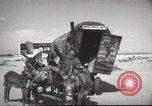 Image of mule pulled wagon Las Vegas Nevada USA, 1952, second 9 stock footage video 65675059276