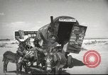 Image of mule pulled wagon Las Vegas Nevada USA, 1952, second 10 stock footage video 65675059276