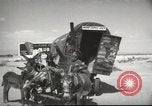 Image of mule pulled wagon Las Vegas Nevada USA, 1952, second 11 stock footage video 65675059276