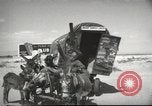 Image of mule pulled wagon Las Vegas Nevada USA, 1952, second 12 stock footage video 65675059276