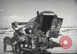 Image of mule pulled wagon Las Vegas Nevada USA, 1952, second 13 stock footage video 65675059276
