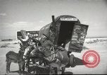 Image of mule pulled wagon Las Vegas Nevada USA, 1952, second 15 stock footage video 65675059276