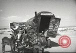 Image of mule pulled wagon Las Vegas Nevada USA, 1952, second 16 stock footage video 65675059276