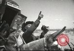 Image of mule pulled wagon Las Vegas Nevada USA, 1952, second 18 stock footage video 65675059276